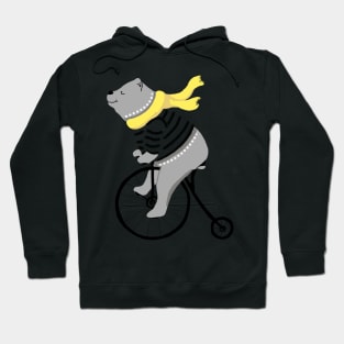 Happy Bear Riding a Bicycle Hoodie